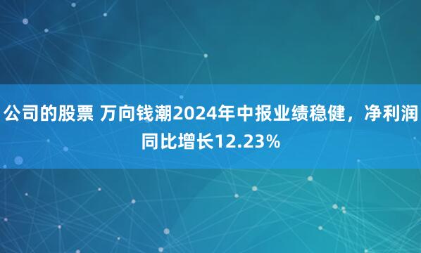 公司的股票 万向钱潮2024年中报业绩稳健，净利润同比增长12.23%