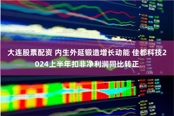 大连股票配资 内生外延锻造增长动能 佳都科技2024上半年扣非净利润同比转正